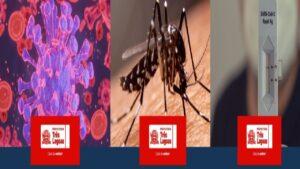 BOLETIM INFLUENZA / BOLETIM DENGUE E LEISHMANIOSE / BOLETIM COVID-19 – 10 de fevereiro de 2026