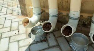 Comedouro inaugurado por Randolfe virou viveiro de larvas