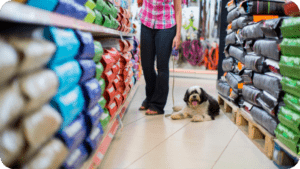 PROCON-TL divulga pesquisa de preços de produtos para pets