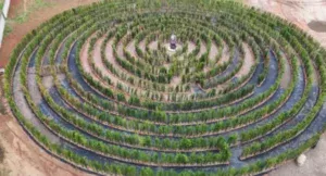 Lula procura uma saída do seu labirinto