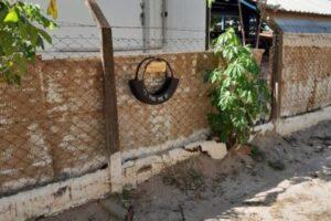 Larvitrampas reforçam combate ao mosquito da dengue e ajudam na prevenção de surtos em Três Lagoas