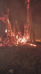 Incêndio em figueira histórica na Vila Piloto mobiliza Corpo de Bombeiros em Três Lagoas
