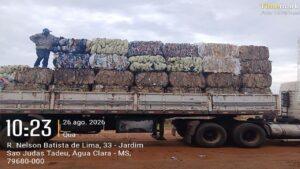Pela segunda vez no ano, “Guardiões da Natureza” vendem 20 toneladas de recicláveis