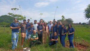 CEINF Gisely Ribeiro Hippler promove atividade com crianças em espaços de Brasilândia.