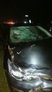 PRF atende sinistro do tipo atropelamento de pedestre com óbito na BR-158 em Três Lagoas/MS
