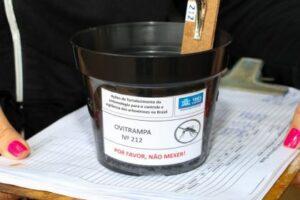 Mais de 12 mil ovos de Aedes aegypti são coletados em Ovitrampas no município